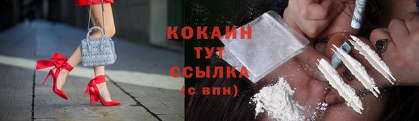 тгк Лиски